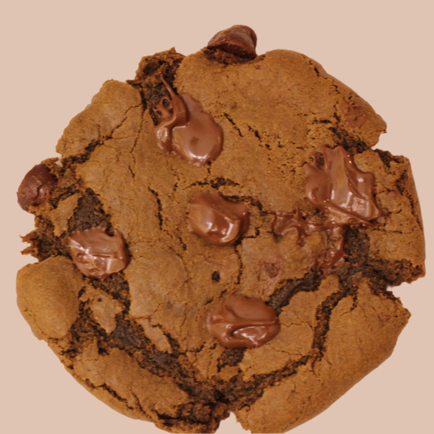 GLUTEN FREE Fudge Cookie (Half Dozen)