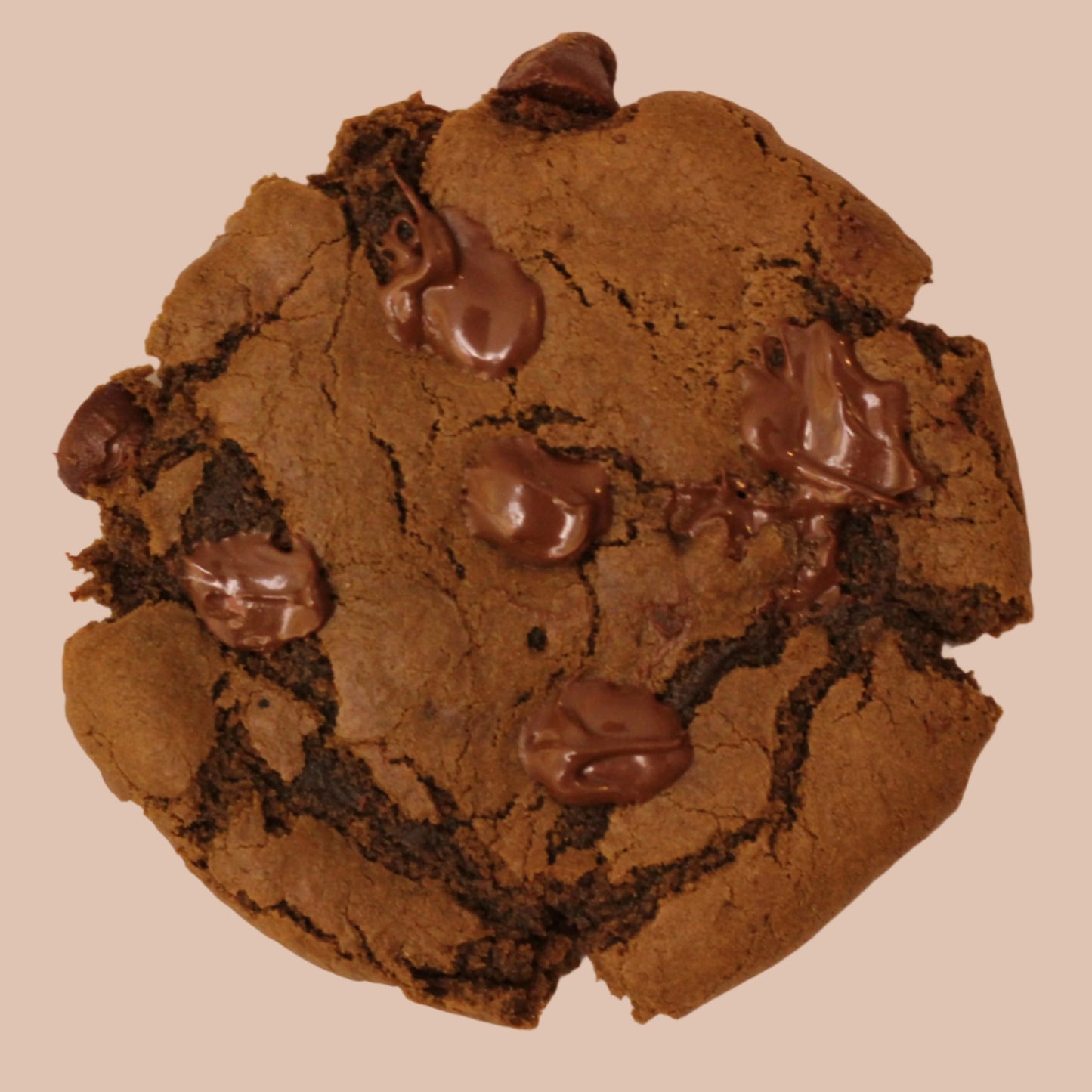 GLUTEN FREE Fudge Cookie (Half Dozen)